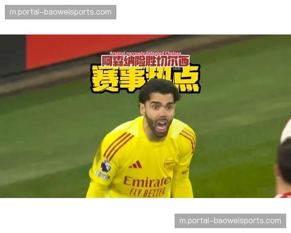 阿森纳控场弱势下门将拉亚出色 长传发动反击成重要进攻手段 阿森纳控场弱势下门将拉亚出色 长传发动反击成重要进攻手段